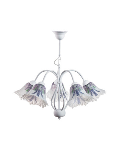 ŻYRANDOL PROWANSALSKI BIAŁY 5L