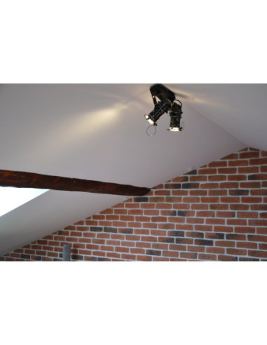 Reflektor DRAGON 2 PKT. /HANDMADE/