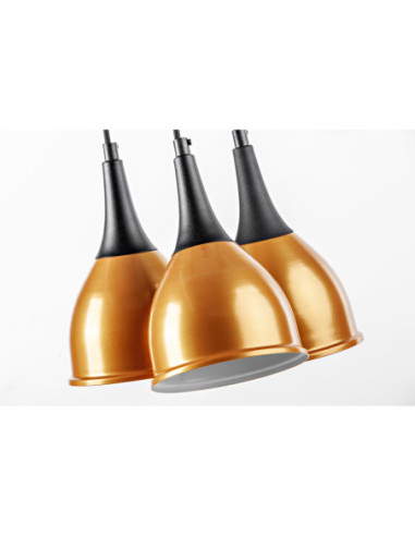 MONIC 3L ZŁOTA  / CZARNY