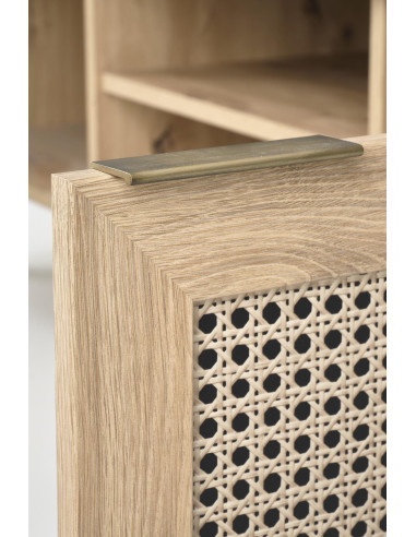 BORNEO Stolik RTV Dąb Artisan 150x40x45cm - Funkcjonalność w Designie