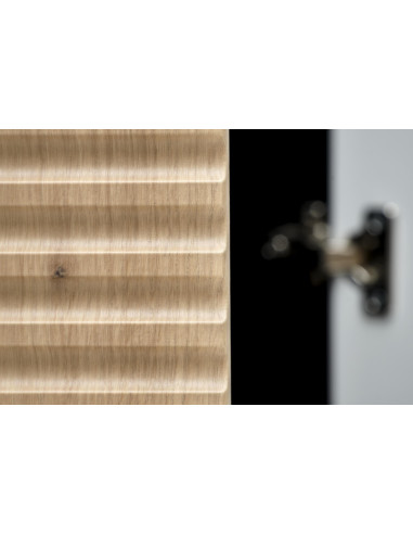 MURANO S-1 szafa dąb artisan/czarny (2p 1szt)