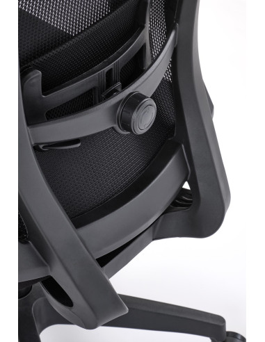 PAREDES Fotel z Regulacją Punktu Podparcia Pleców oraz Podłokietników