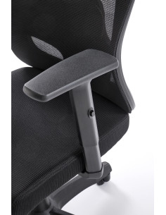 RAMOS Fotel z Regulacją Punktu Podparcia Pleców, Podłokietników, Zagłówka 2