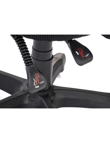 RAMOS Fotel z Regulacją Punktu Podparcia Pleców, Podłokietników, Zagłówka