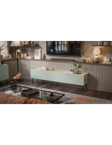 FELLINI szafka RTV 200 oliwka/oliwka ( 1 szt. 2 p. )